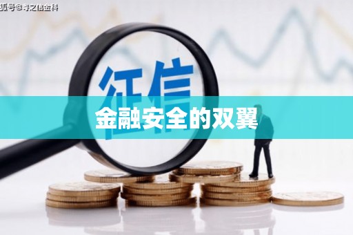 稻城金融安全的双翼