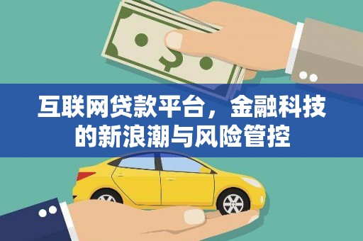 稻城互联网贷款平台，金融科技的新浪潮与风险管控