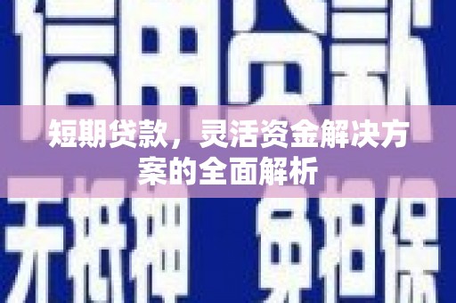 稻城短期贷款，灵活资金解决方案的全面解析
