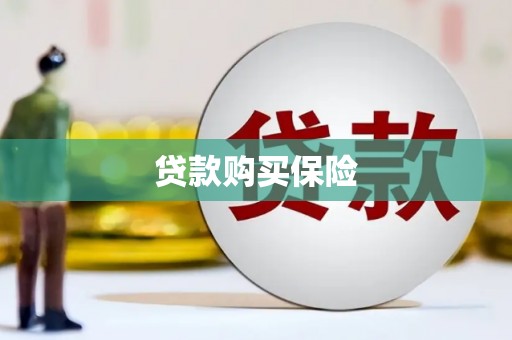 稻城贷款购买保险