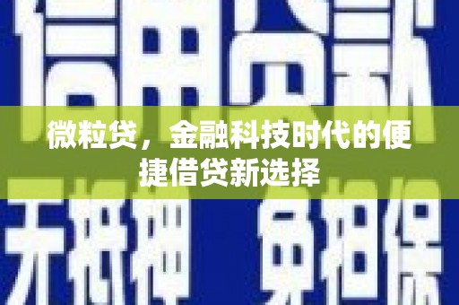稻城微粒贷，金融科技时代的便捷借贷新选择
