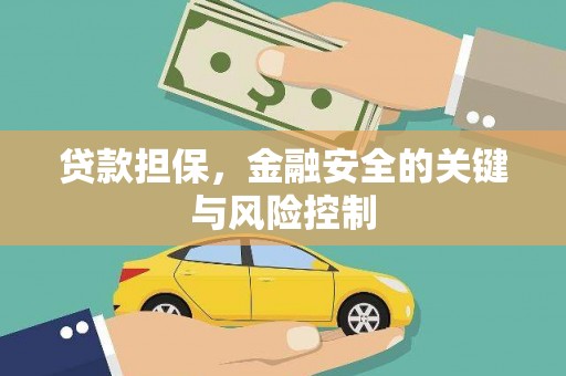 稻城贷款担保，金融安全的关键与风险控制