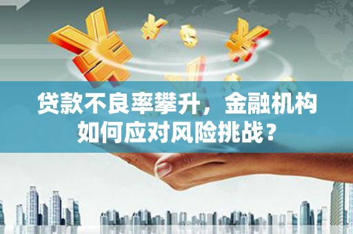稻城贷款不良率攀升，金融机构如何应对风险挑战？