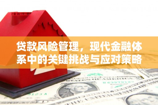 稻城贷款风险管理，现代金融体系中的关键挑战与应对策略