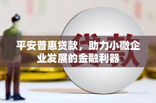 稻城平安普惠贷款，助力小微企业发展的金融利器
