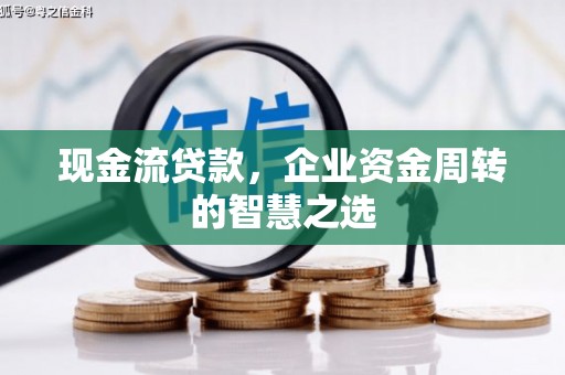稻城现金流贷款，企业资金周转的智慧之选