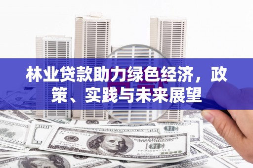 稻城林业贷款助力绿色经济，政策、实践与未来展望