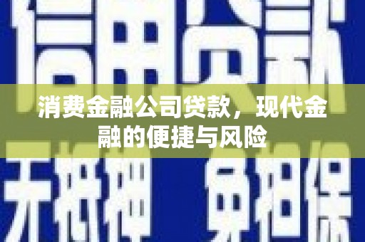 稻城消费金融公司贷款，现代金融的便捷与风险
