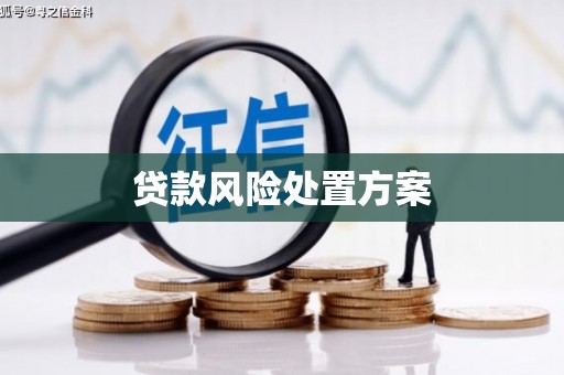 稻城贷款风险处置方案