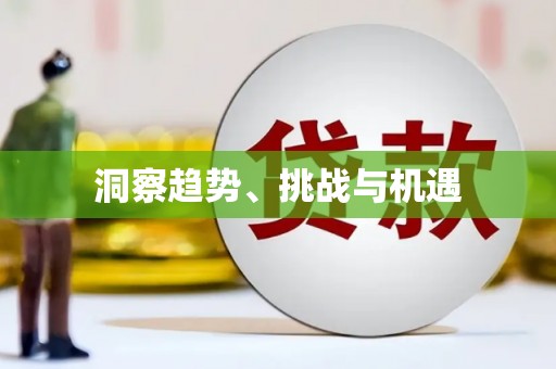 稻城洞察趋势、挑战与机遇
