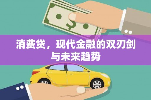 稻城消费贷，现代金融的双刃剑与未来趋势