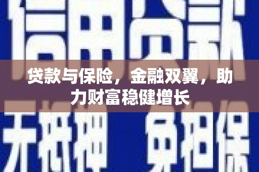 稻城贷款与保险，金融双翼，助力财富稳健增长