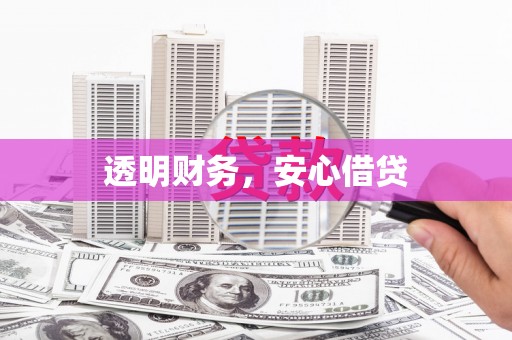 稻城透明财务，安心借贷