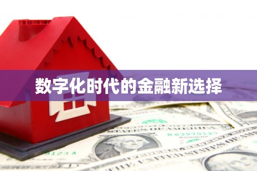 稻城数字化时代的金融新选择