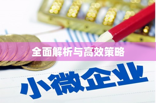 稻城全面解析与高效策略