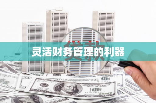 稻城灵活财务管理的利器