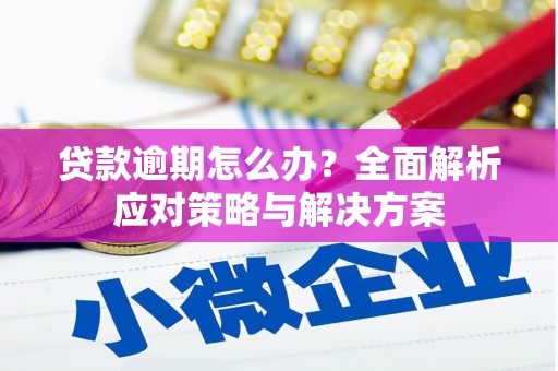 稻城贷款逾期怎么办？全面解析应对策略与解决方案