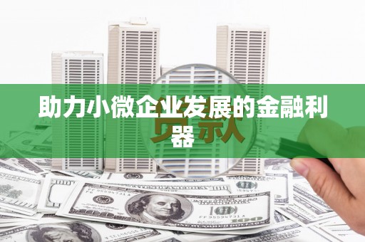 稻城助力小微企业发展的金融利器