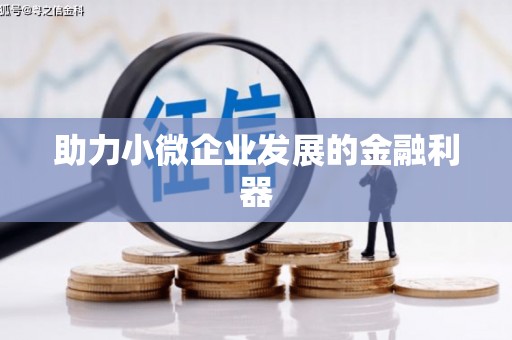 稻城助力小微企业发展的金融利器