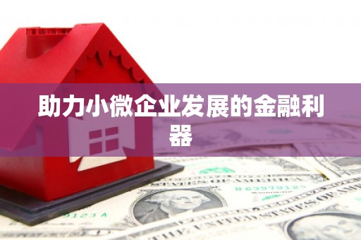 稻城助力小微企业发展的金融利器