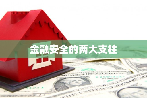 稻城金融安全的两大支柱
