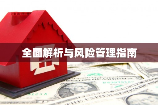 稻城全面解析与风险管理指南