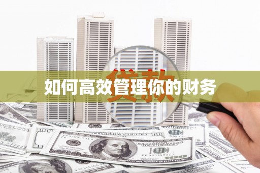 稻城如何高效管理你的财务