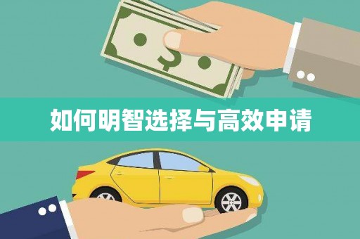 稻城如何明智选择与高效申请