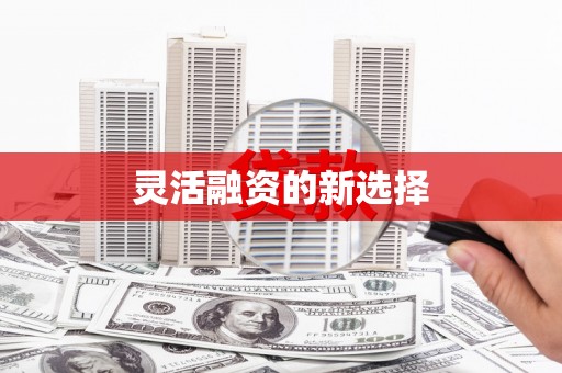 稻城灵活融资的新选择