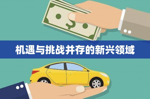稻城机遇与挑战并存的新兴领域