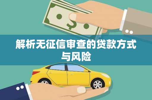 稻城解析无征信审查的贷款方式与风险