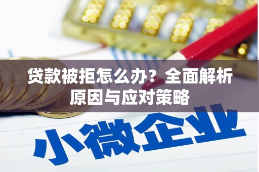稻城贷款被拒怎么办？全面解析原因与应对策略