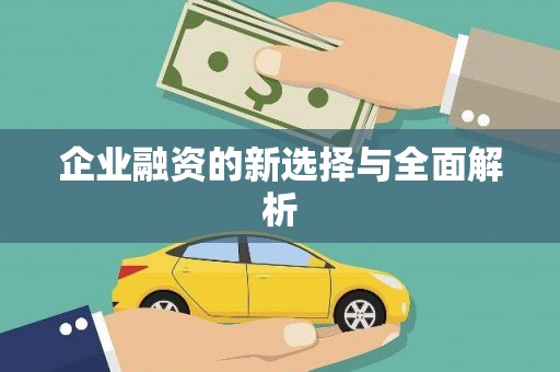 稻城企业融资的新选择与全面解析