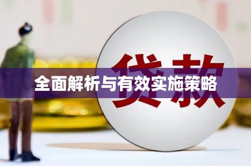 稻城全面解析与有效实施策略