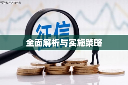 稻城全面解析与实施策略