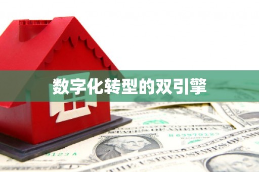 稻城数字化转型的双引擎