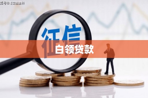 稻城白领贷款