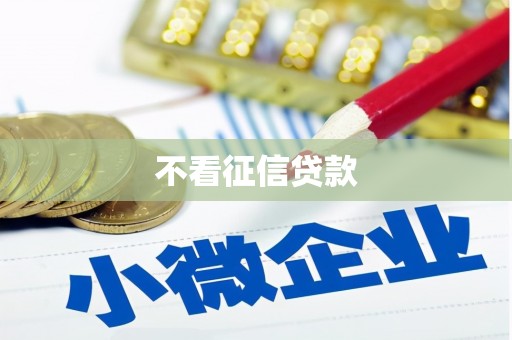 稻城不看征信贷款
