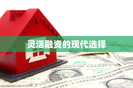 稻城灵活融资的现代选择