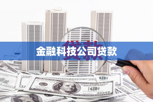 稻城金融科技公司贷款
