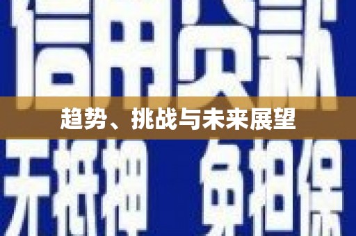 稻城趋势、挑战与未来展望