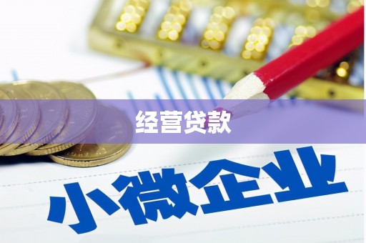 稻城经营贷款