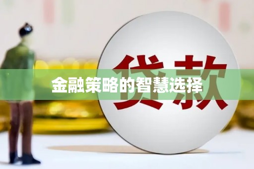 稻城金融策略的智慧选择