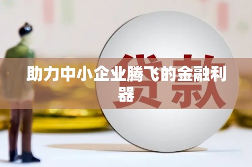 稻城助力中小企业腾飞的金融利器