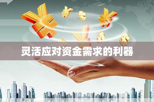 稻城灵活应对资金需求的利器