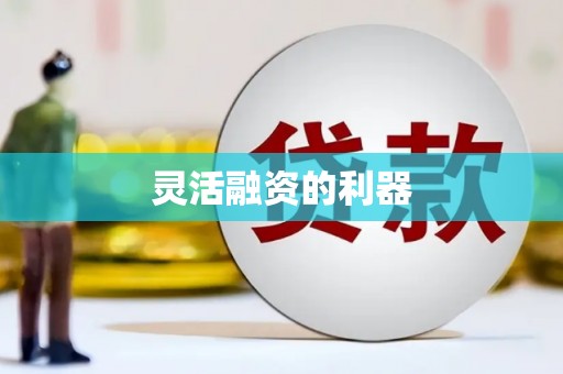 稻城灵活融资的利器