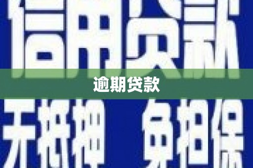 稻城逾期贷款