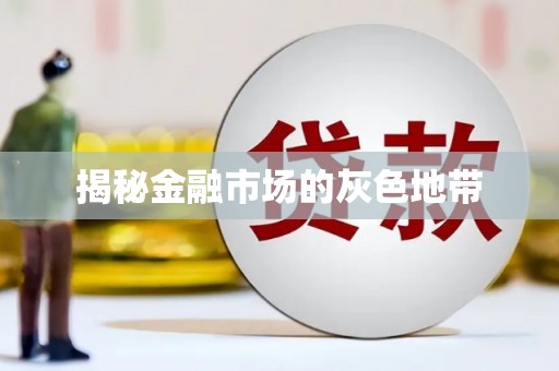 稻城揭秘金融市场的灰色地带