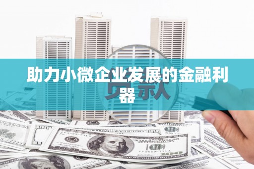 稻城助力小微企业发展的金融利器