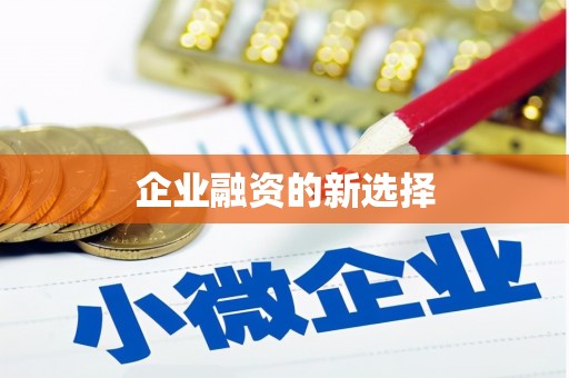 稻城企业融资的新选择